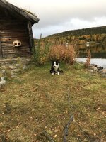 IMG_0281.jpeg