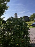 IMG_3975.jpeg