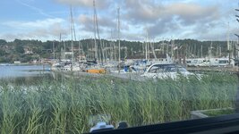 IMG_8393.jpeg