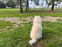 IMG_6722.JPEG