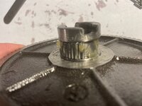 IMG_7799.jpeg IMG_7799.jpeg