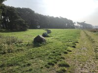 IMG_7621.jpeg