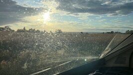 IMG_8540.jpeg