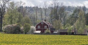 DA623BD5-A66D-4446-AC0E-15AA4E7F84B1.jpeg