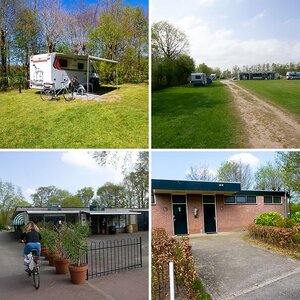 Familiecamping Vogelenzang