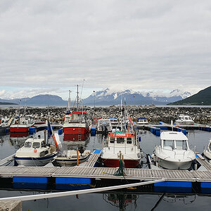 Oksfjord Båtforening6.jpg