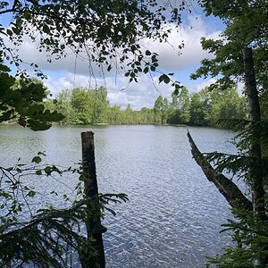 IMG_4739.jpeg