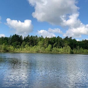 IMG_4732.jpeg