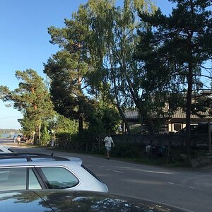 IMG_4048.jpeg