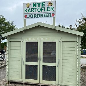 IMG_3110.jpeg