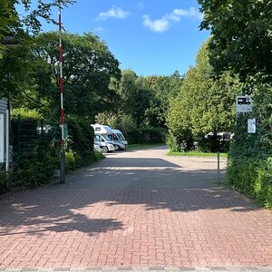 IMG_3151.jpeg