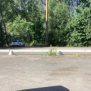 IMG_7504.jpeg