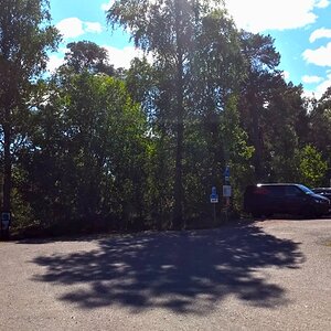 IMG_4253.jpeg