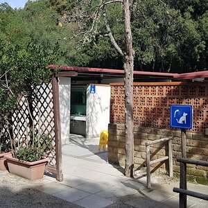 2019-10-10 13.33.18.jpg