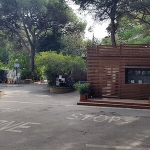 2019-10-10 13.22.59.jpg