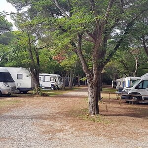 2019-10-10 13.22.01.jpg