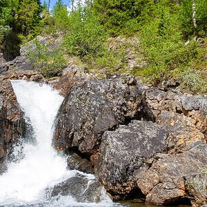 Bjurälven naturreservat