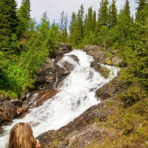 Bjurälven naturreservat