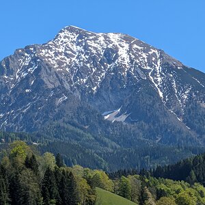 PXL_20260502_114352313.jpg