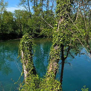 PXL_20260504_125007534.MP.jpg