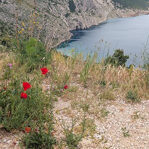 PXL_20260508_075254194.jpg