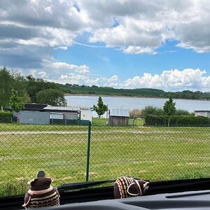 IMG_3398.jpeg