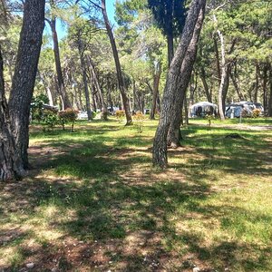 8.Camp Pineta, Fažana.jpeg