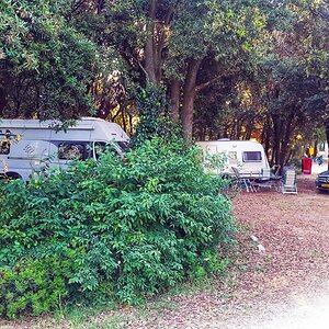 9. Acsiplats Maistra Camping Polari.jpeg