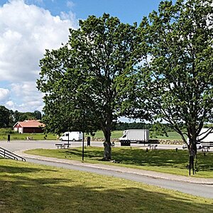 IMG_20260619_100911.jpg