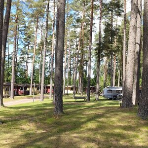 IMG_20260619_133533.jpg