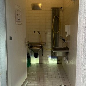 IMG_6951.jpeg