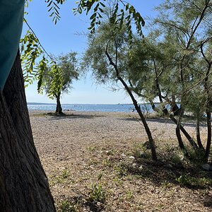 IMG_7991.jpeg