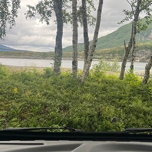 IMG_3593.jpeg