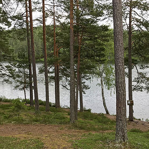 Försjön.jpg