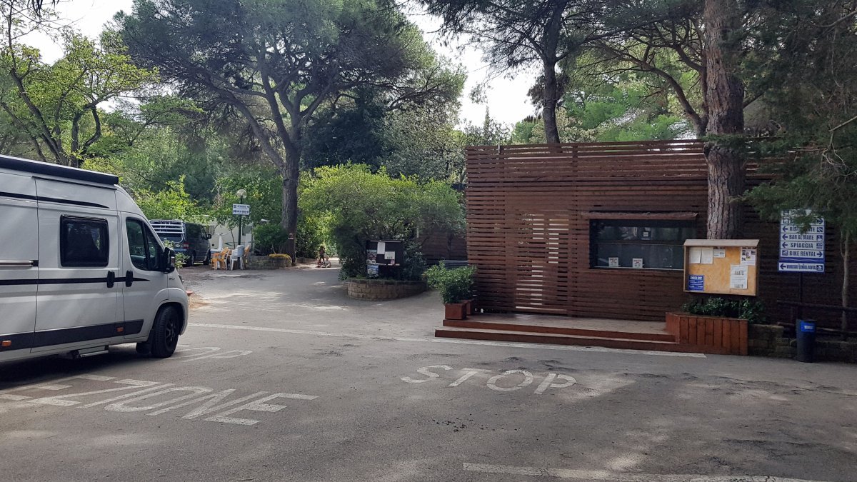 2019-10-10 13.22.59.jpg