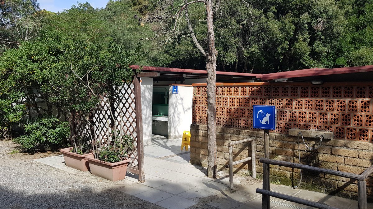 2019-10-10 13.33.18.jpg