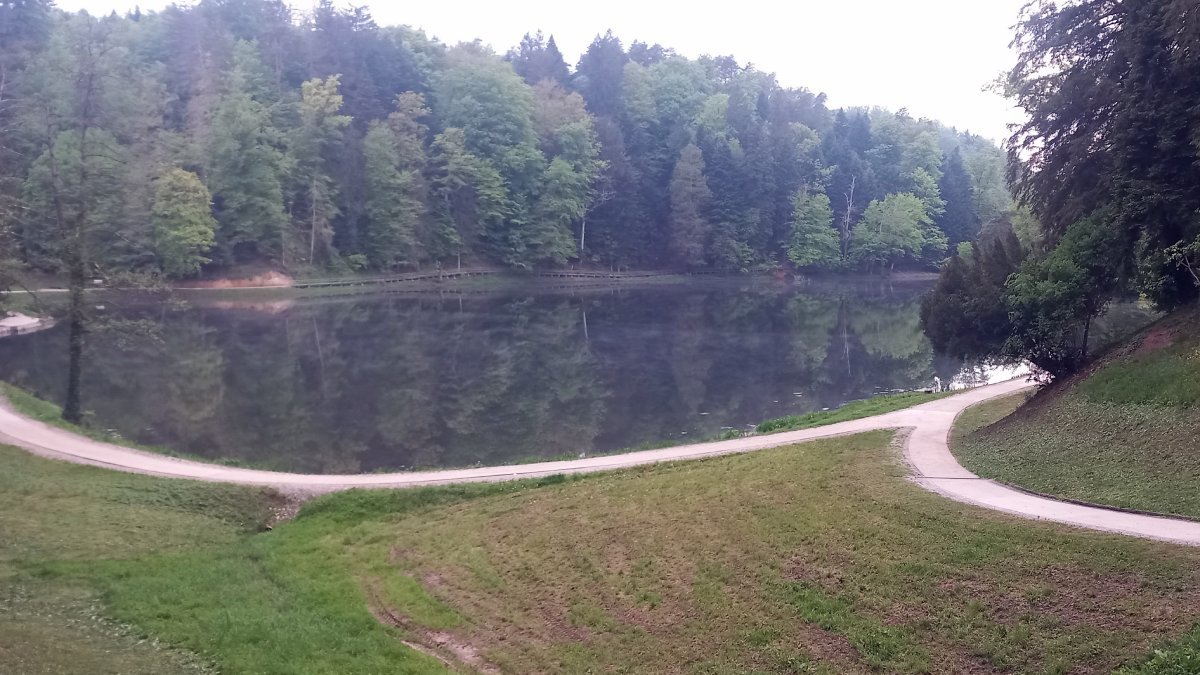 20260429_192029.jpg