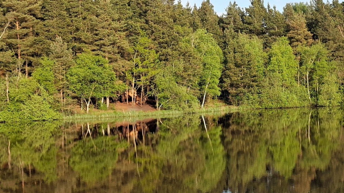 20260519_193755.jpg