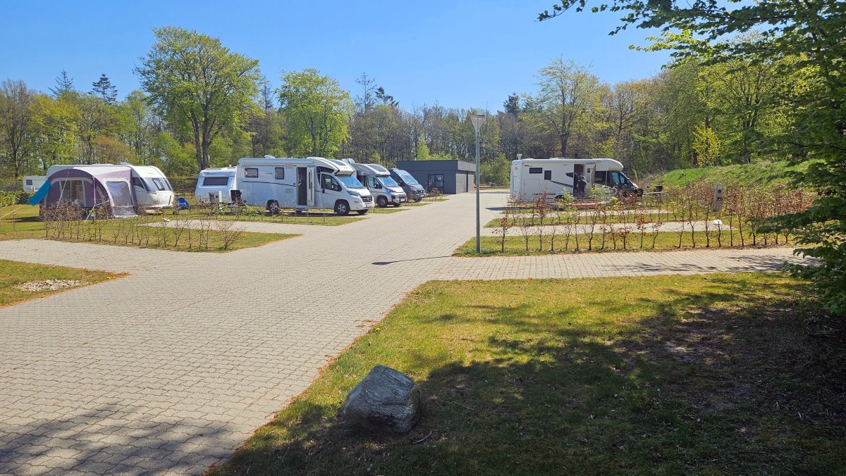 351 Sunds Søcamp (1).jpg