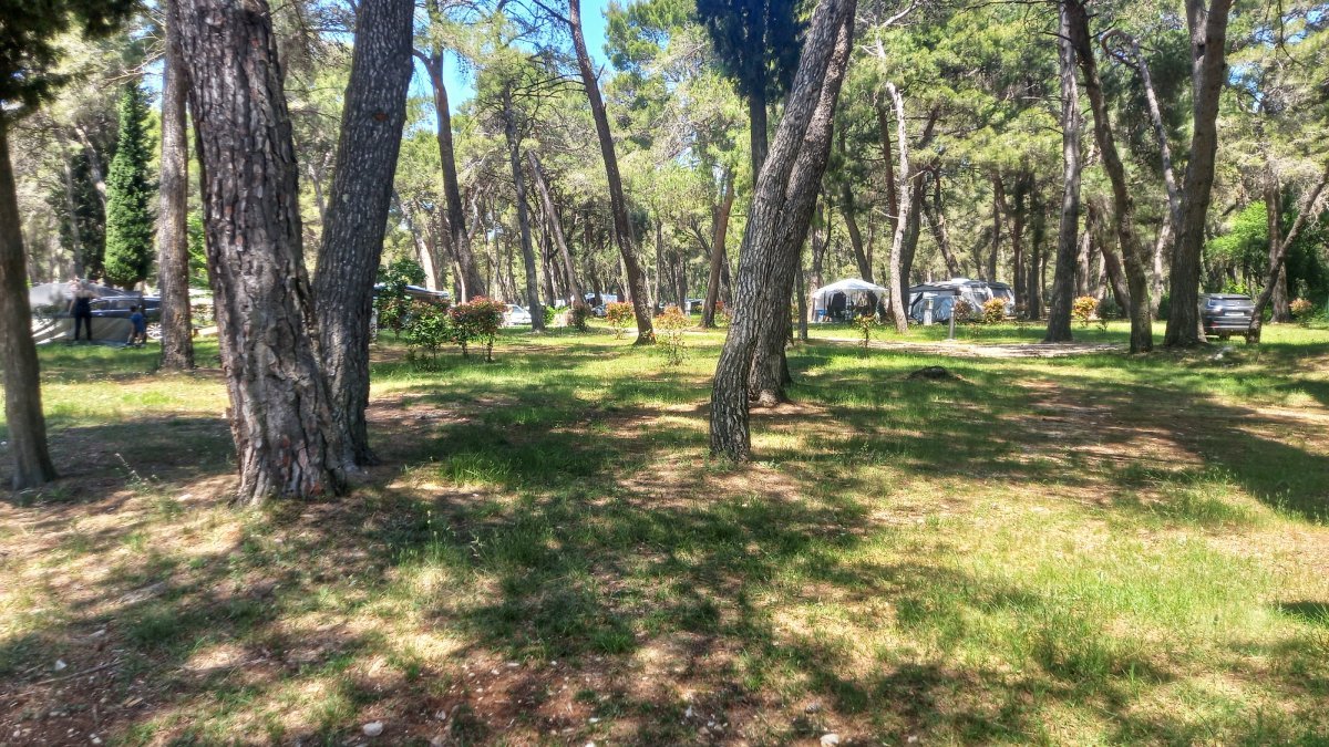 8.Camp Pineta, Fažana.jpeg