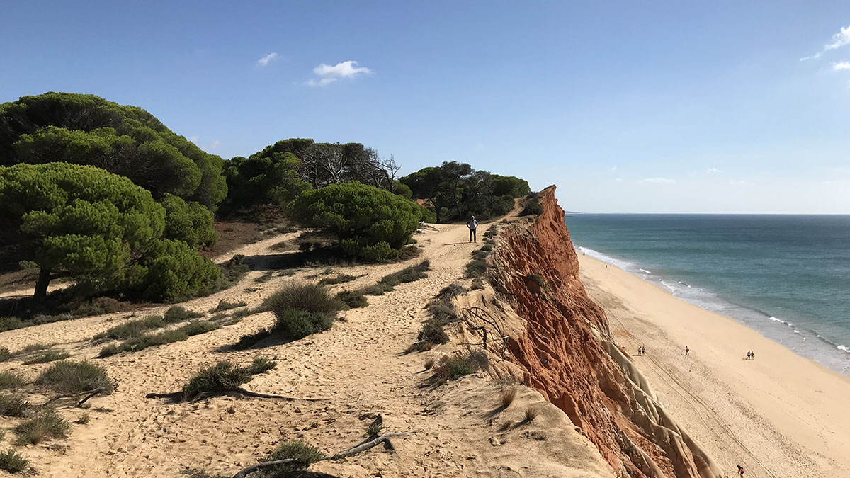 Algarve Motorhome Park Falésia3.jpg