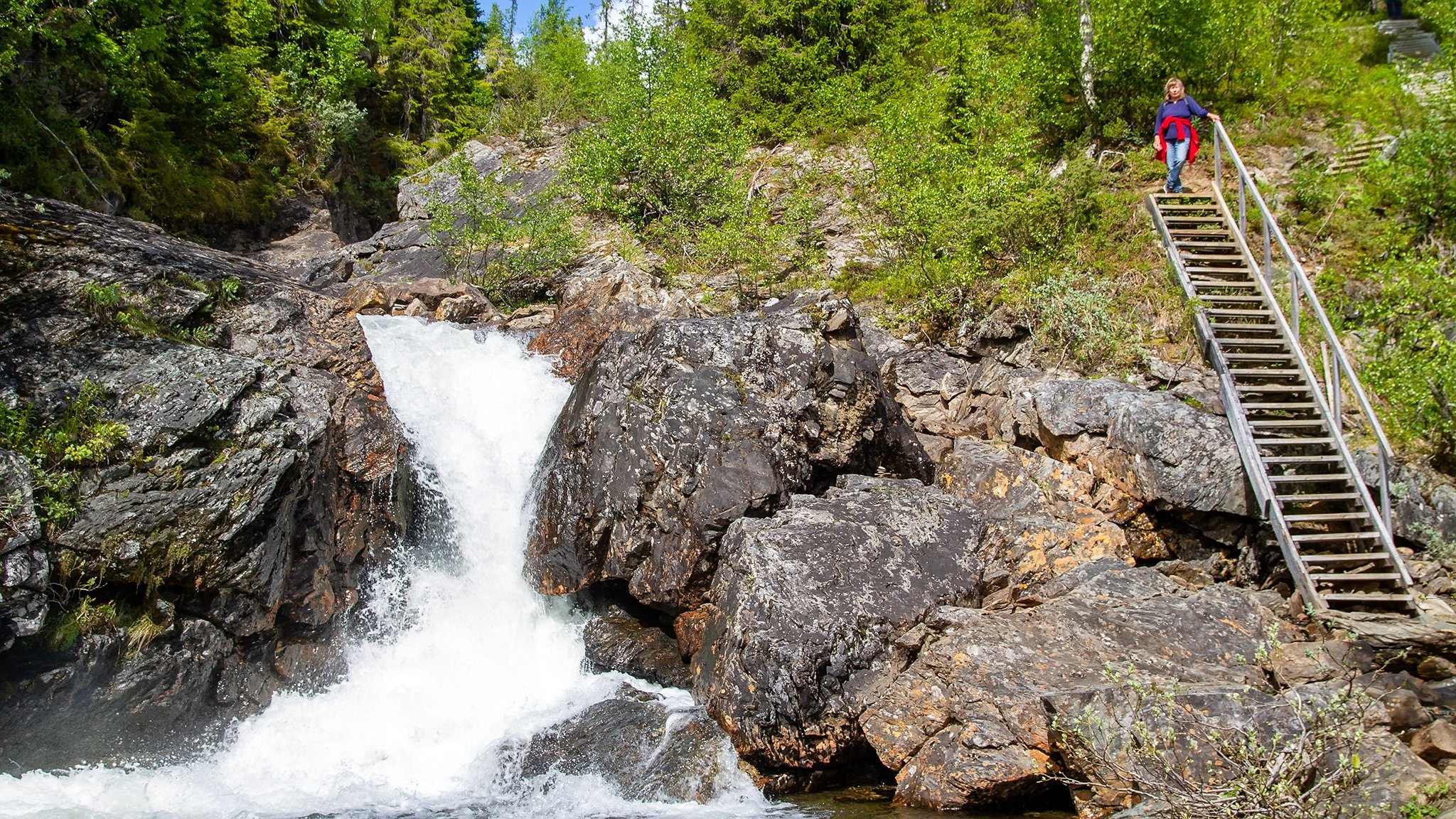 Bjurälven naturreservat