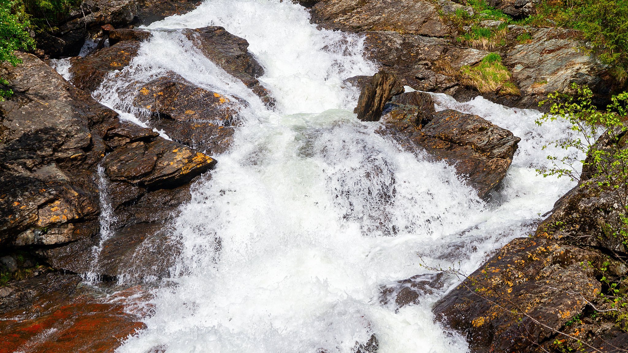 Bjurälven naturreservat