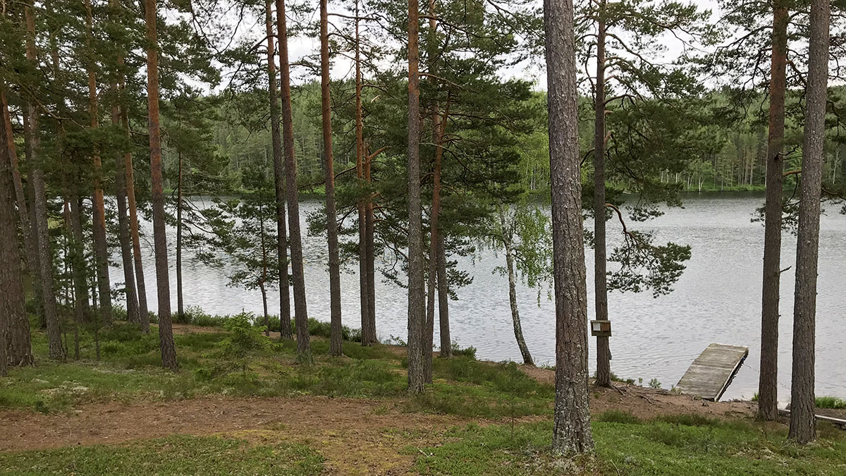 Försjön.jpg