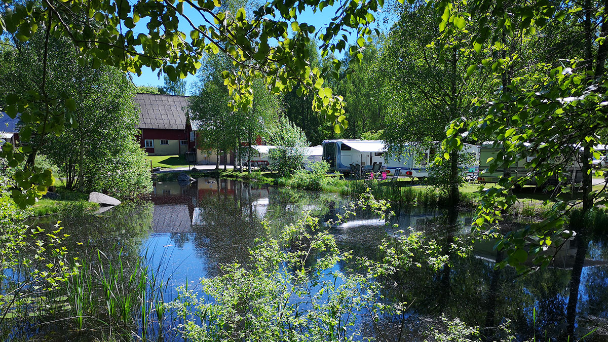 Harasjömåla Fiskecamp3.jpg