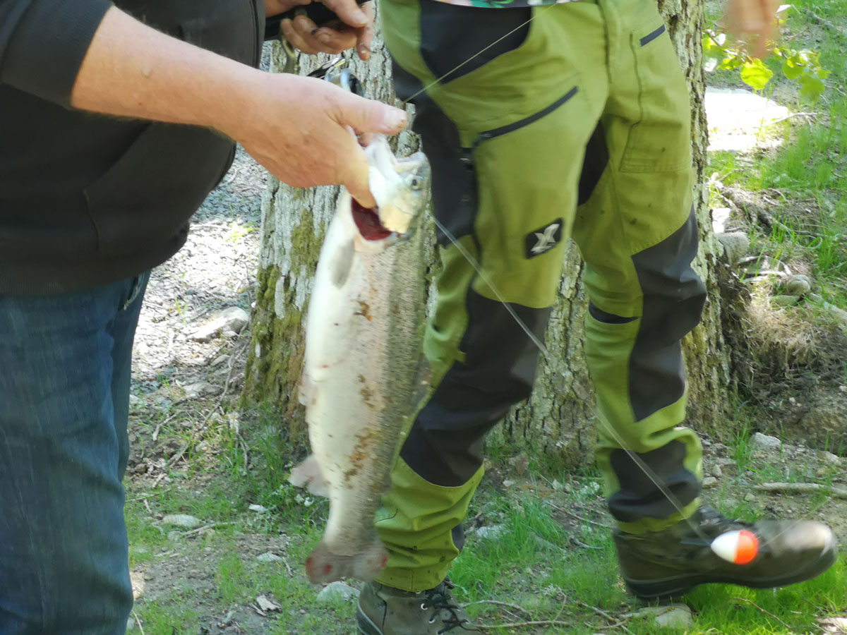 Harasjömåla Fiskecamp4.jpg