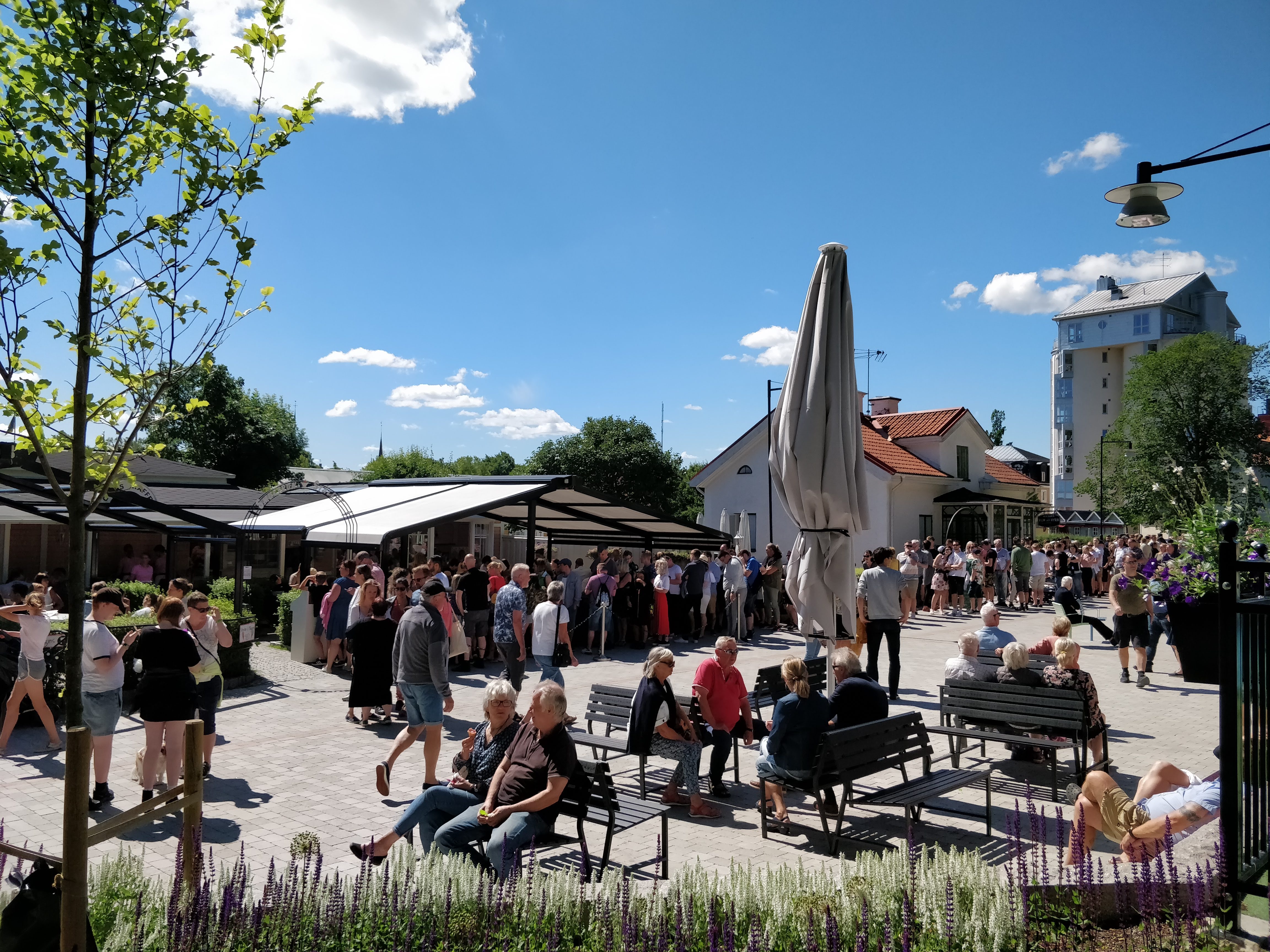 Kön vid smultronstället