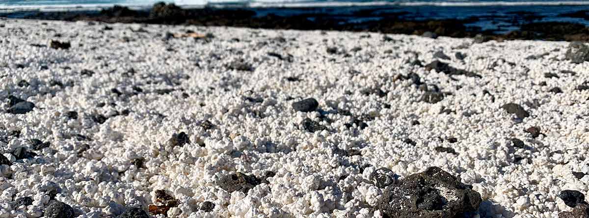 Popcorn-beach-fuerteventura-2.jpg