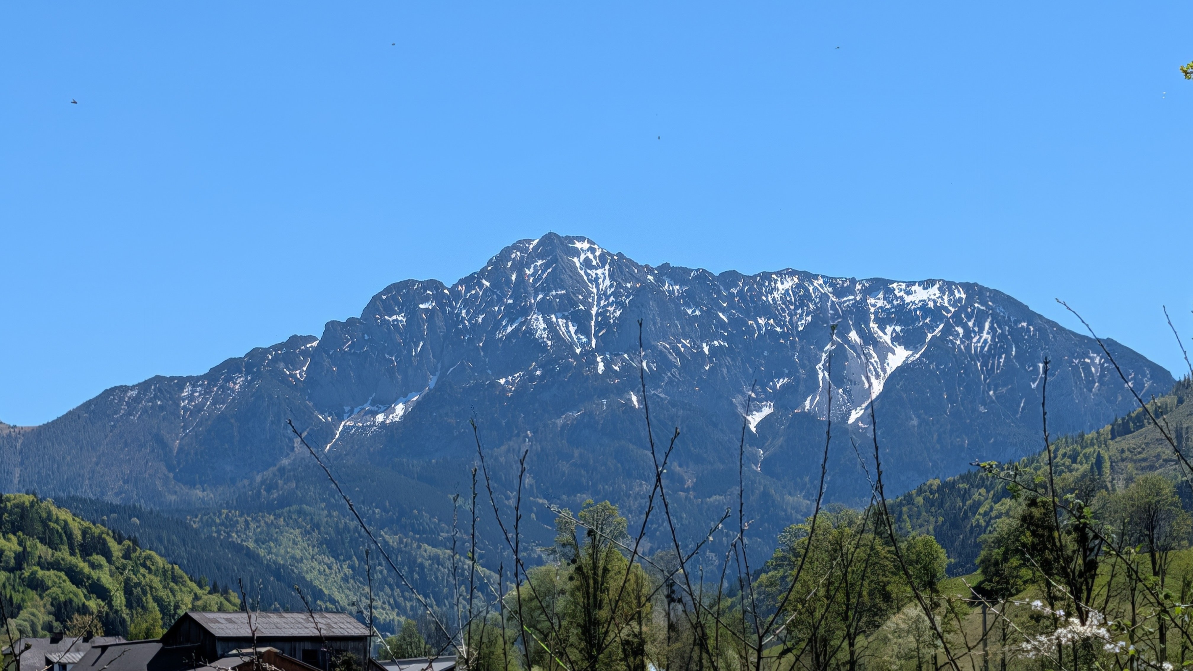 PXL_20260502_114414232.jpg