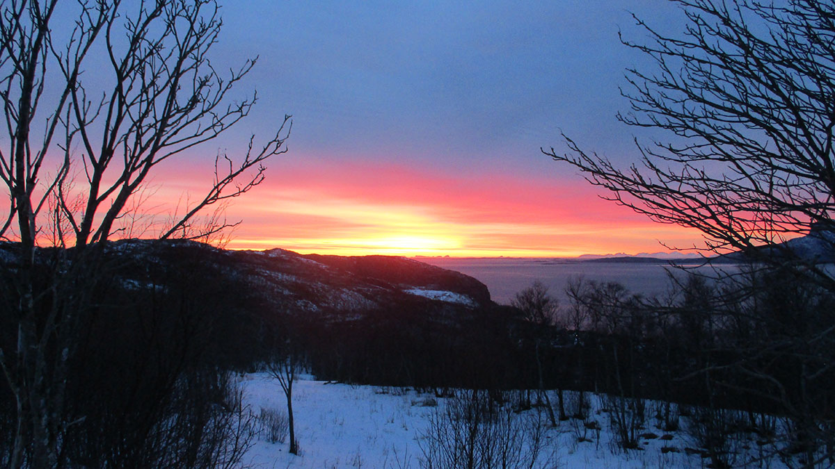 Rønvikfjellet2.JPG